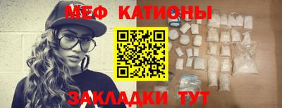 индика Дубна