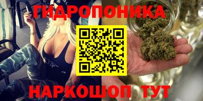 индика Дубна