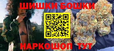 индика Дубна