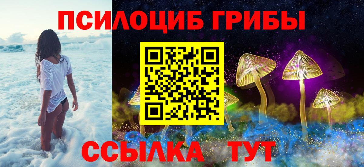 Псилоцибиновые грибы GOLDEN TEACHER Киселёвск